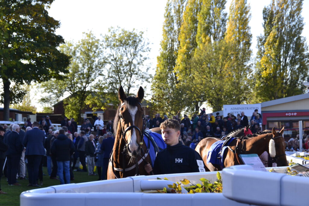 Image name DSC1483 the 2 image from the post Pontefract Racecourse in Yorkshire.com.