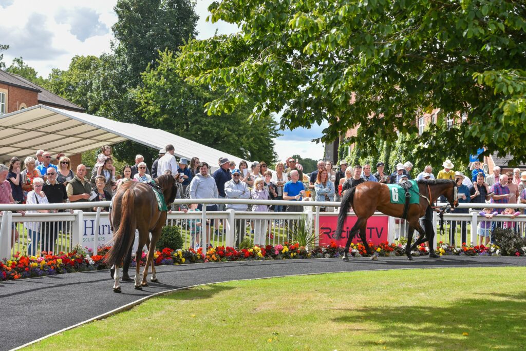 Thirsk Racecourse Visitor Attraction image 4 Image name JWcMtQCQ the 4 image from the post Thirsk Racecourse in Yorkshire.com.