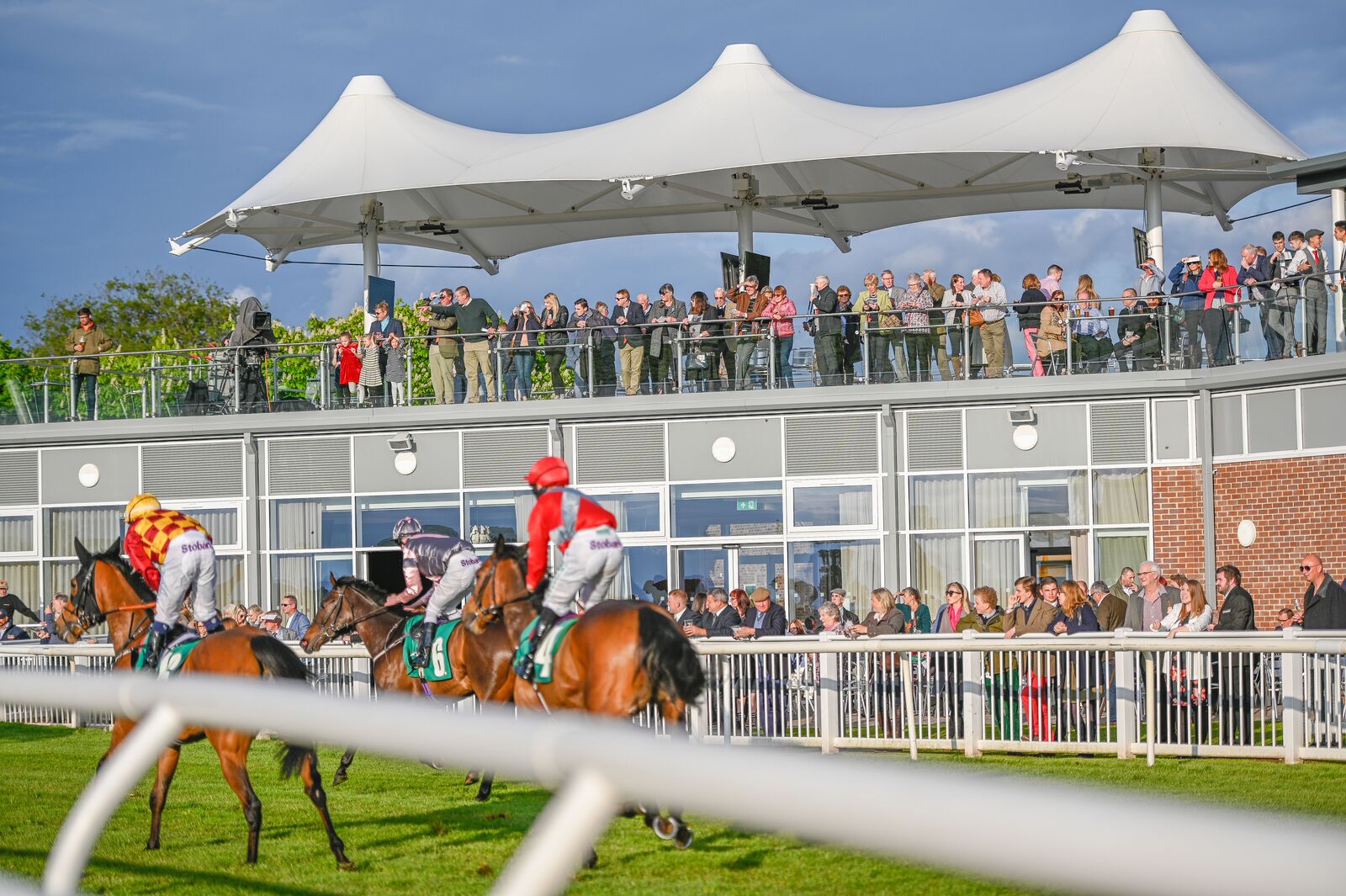 Image name OT Horses the 11 image from the post Thirsk Racecourse in Yorkshire.com.