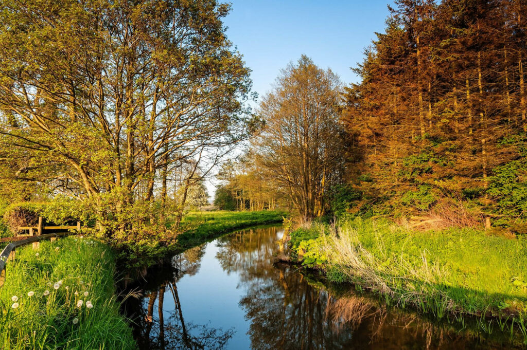 Walk: Pickering and Ings Bridge Post image 1 Pickering landscape