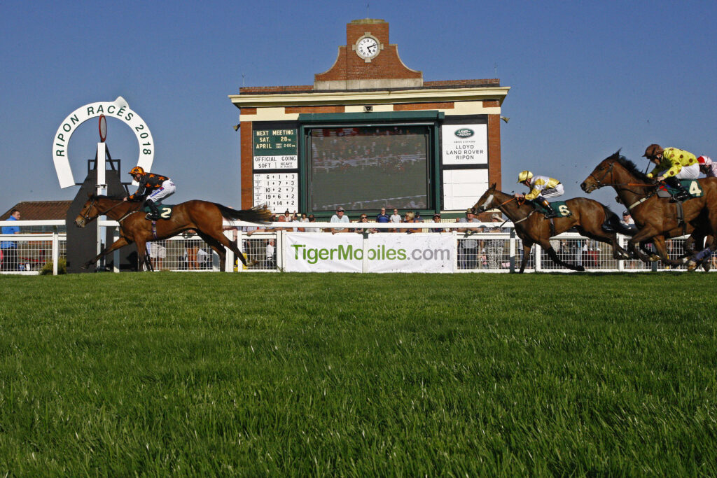 Ripon Racecourse Visitor Attraction image 1 Image name Ripon CotN2018 the 1 image from the post Ripon Racecourse in Yorkshire.com.