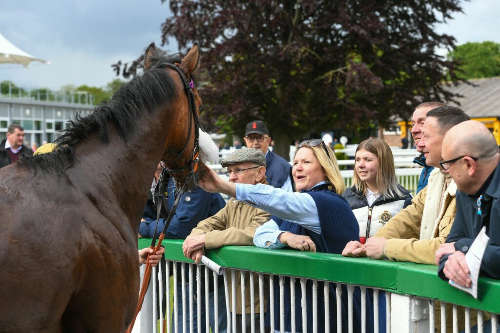 Thirsk Racecourse Visitor Attraction image 10 Image name Yrv KPis the 10 image from the post Thirsk Racecourse in Yorkshire.com.