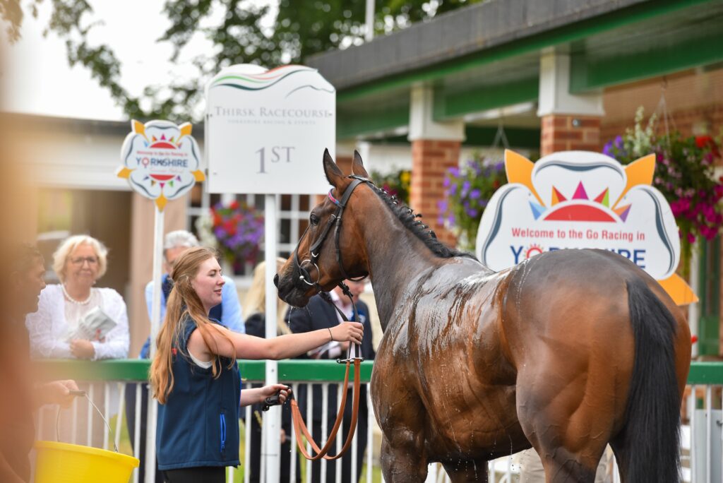 Thirsk Racecourse Visitor Attraction image 11 Image name ZObMMIcQ the 11 image from the post Thirsk Racecourse in Yorkshire.com.