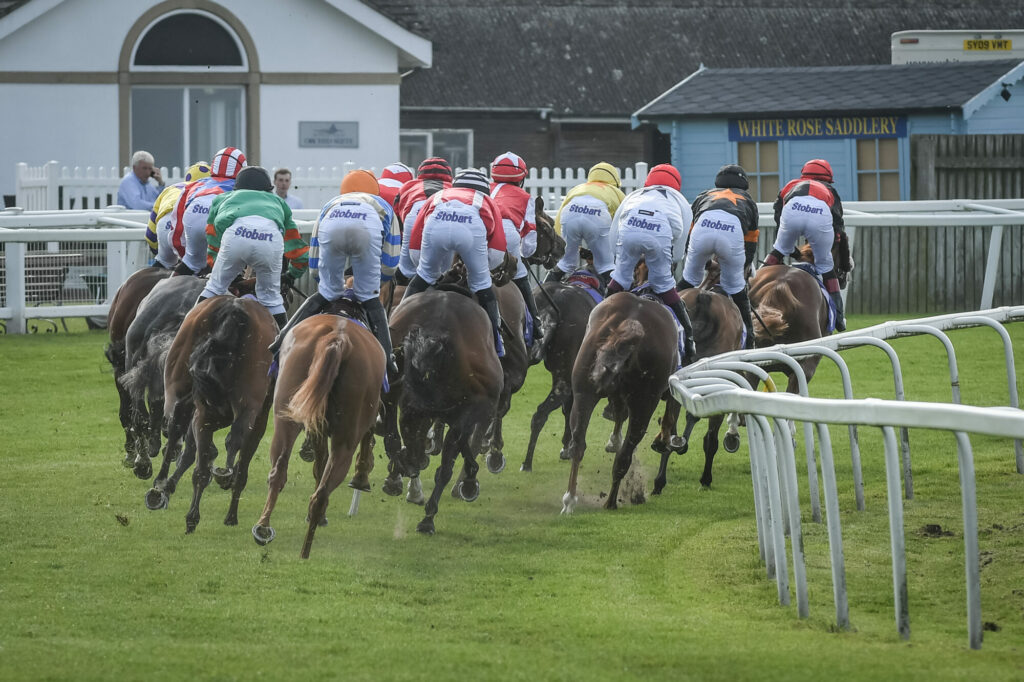 Go Racing In Yorkshire Entity image 4 Image name go racing yorkshire horseracing beverley racing from behind the 4 image from the post Go Racing In Yorkshire in Yorkshire.com.