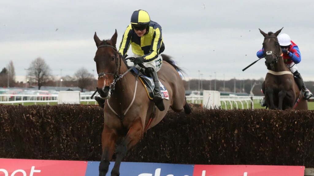 Go Racing In Yorkshire Entity image 6 Image name go racing yorkshire racecourse doncaster jump the 6 image from the post Go Racing In Yorkshire in Yorkshire.com.