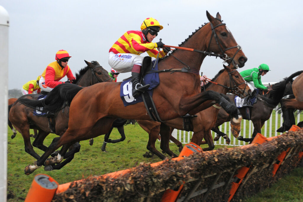 Go Racing In Yorkshire Entity image 10 Image name go racing yorkshire racehorses jumping hurdle the 10 image from the post Go Racing In Yorkshire in Yorkshire.com.