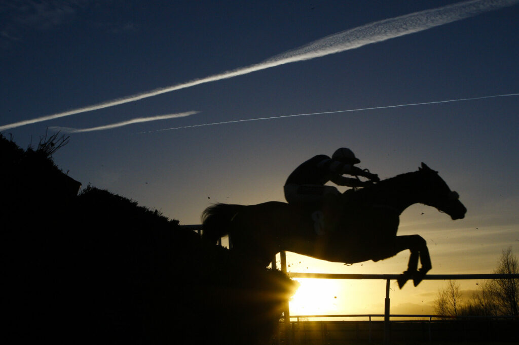 Go Racing In Yorkshire Entity image 12 Image name go racing yorkshire shadow profile racehorse jumping the 12 image from the post Go Racing In Yorkshire in Yorkshire.com.