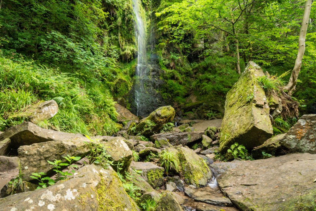 Best places to propose in Yorkshire on Valentine's Day Post image 4 Image name mallyan spout yorkshire the 4 image from the post Best places to propose in Yorkshire on Valentine's Day in Yorkshire.com.