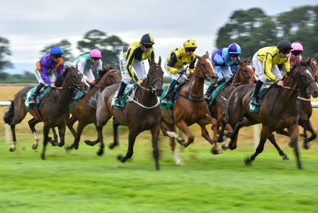 Thirsk Racecourse Visitor Attraction image 6 Image name sgTiADUI the 6 image from the post Thirsk Racecourse in Yorkshire.com.
