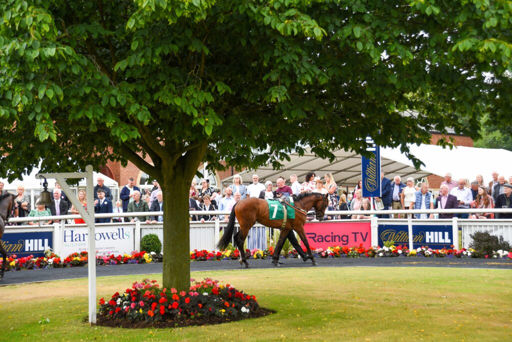 Thirsk Racecourse Visitor Attraction image 9 Image name vtUtqj A the 9 image from the post Thirsk Racecourse in Yorkshire.com.