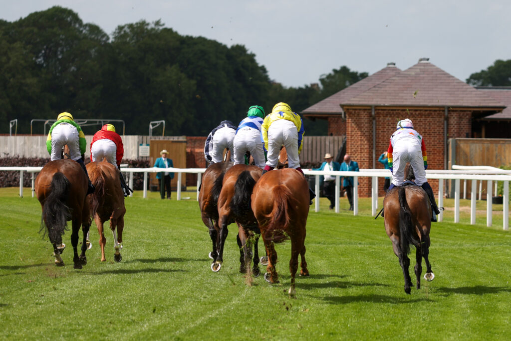 York Racecourse Visitor Attraction image 3 Image name yr10062022r3 42 the 3 image from the post York Racecourse in Yorkshire.com.