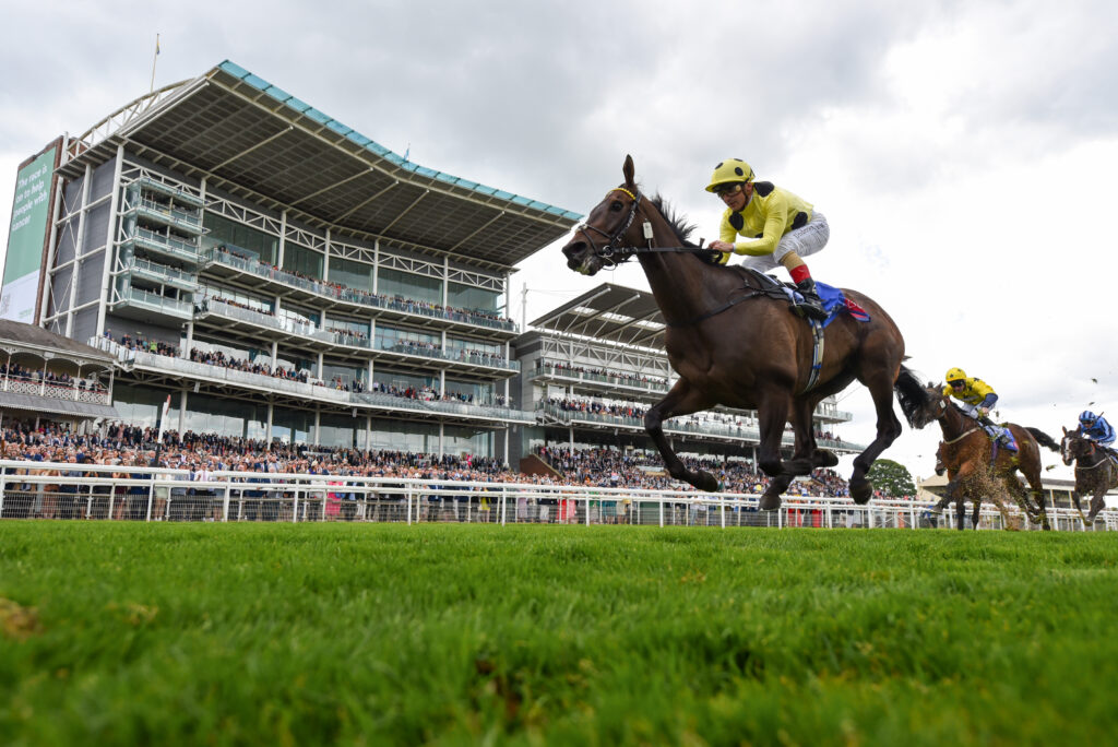 York Racecourse Visitor Attraction image 4 Image name yr11062022r4 27 the 4 image from the post York Racecourse in Yorkshire.com.