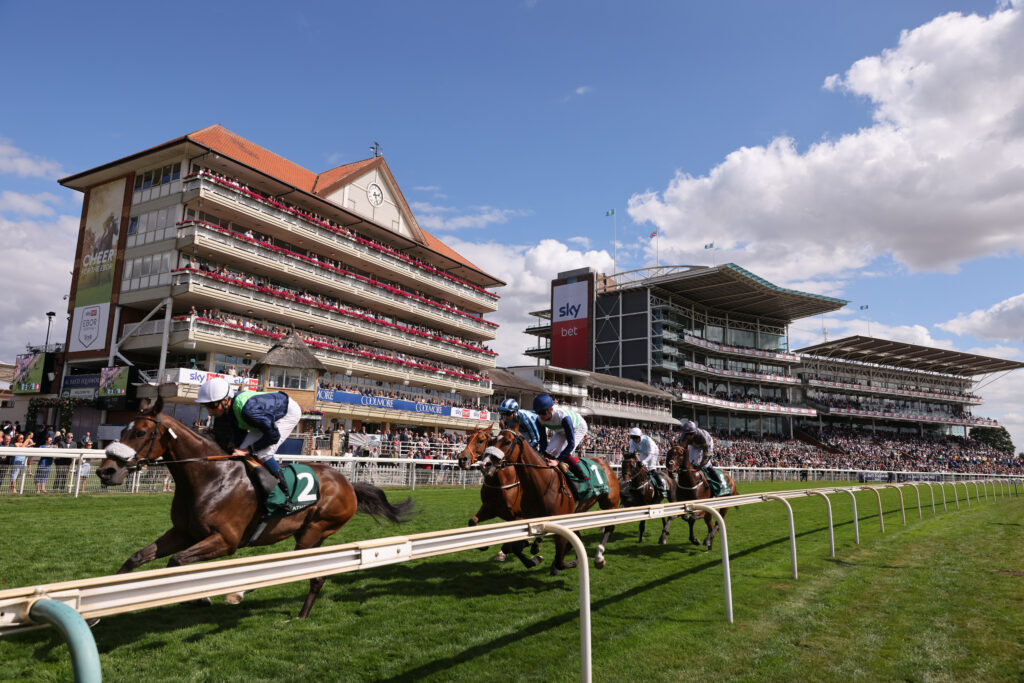York Racecourse Visitor Attraction image 7 Image name yr19082022r2 27 the 7 image from the post York Racecourse in Yorkshire.com.
