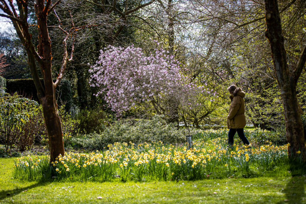 Image name CAG Newby Hall Monday 5 April 21 055 the 4 image from the post Newby Hall & Gardens in Yorkshire.com.