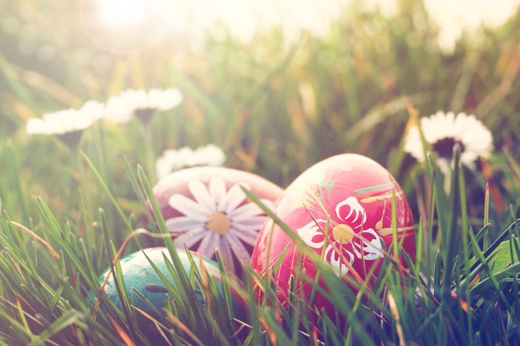 Weekly Newsletter - Friday 17th March 2023 Post image 2 Easter eggs in grass