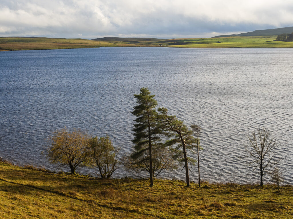 World Wetland Day 2023 in Yorkshire Post image 2 Malham Tarn
