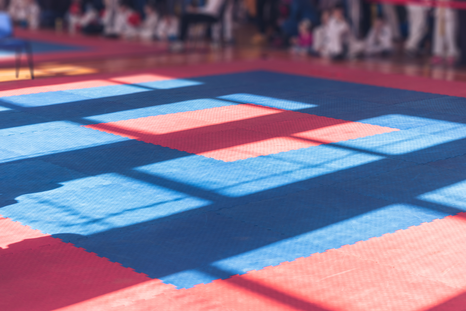 Image name martial arts tournament flooring people sitting by the 15 image from the post Opportunities in Yorkshire.com.