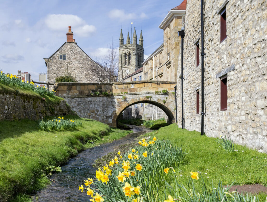 Ryedale Market Towns Trail: Part 1 Helmsley to Hovingham Post image 1 Helmsley daffodils