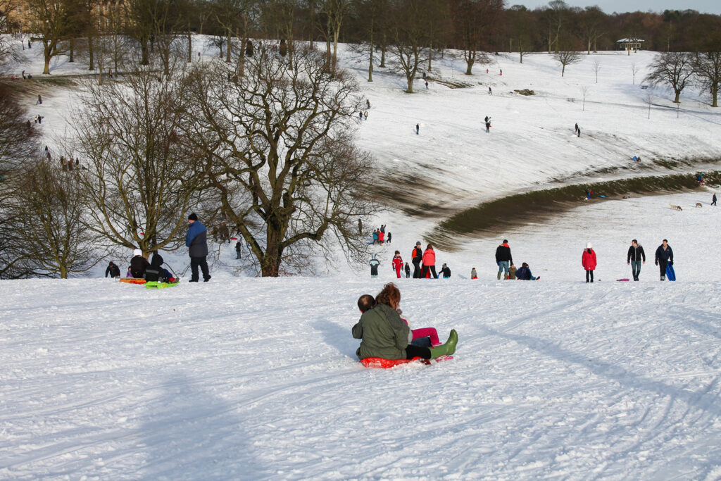 Image name sledging roundhay park the 3 image from the post Cold weather activities in Yorkshire in Yorkshire.com.