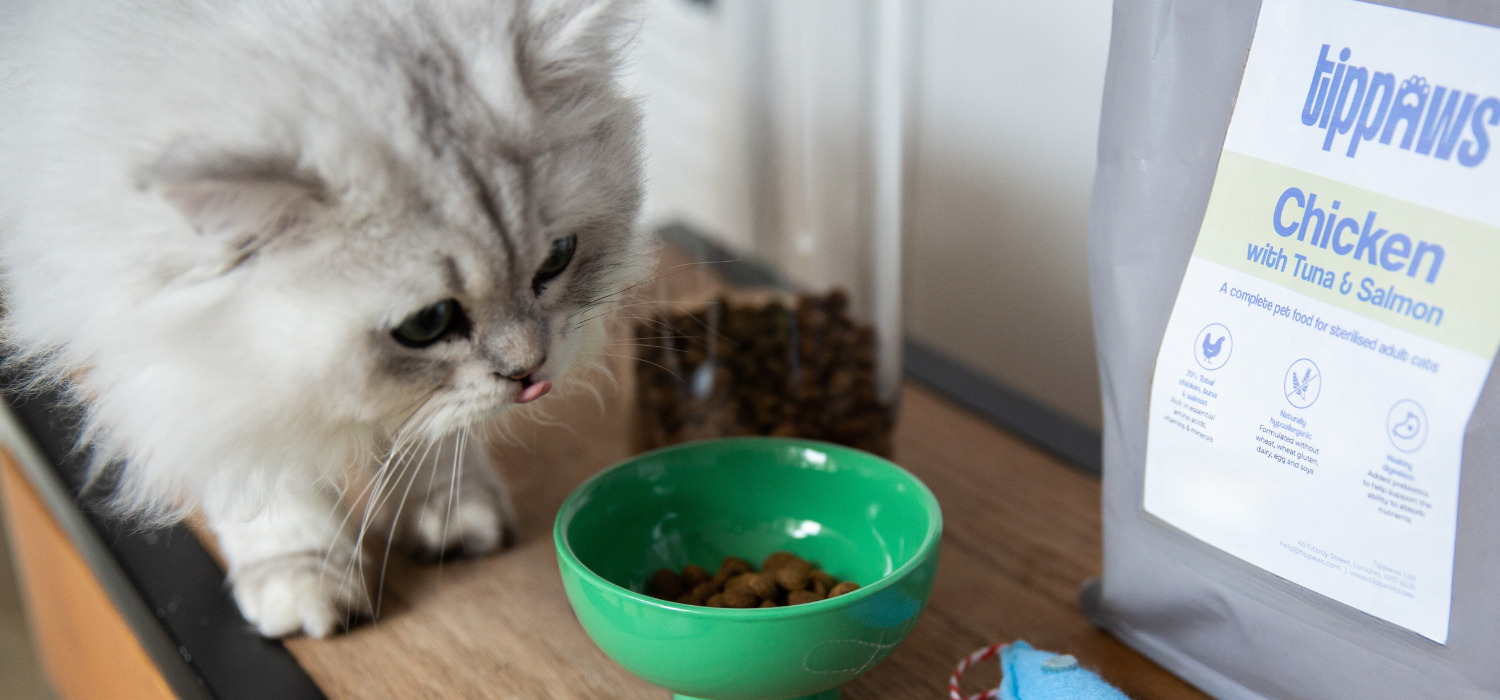 Image name Mochi licking lip1 tippaws cat food the 15 image from the post Purrfect Essentials Kit Giveaway: sponsored by Tippaws in Yorkshire.com.