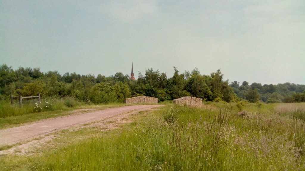 Walk: Brodsworth Community Woodland Post image 1 Brodsworth Community Woodland