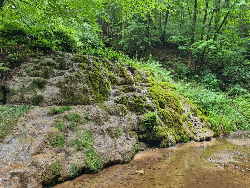 Image name waterfall down rocks hackfall woods yorkshire the 2 image from the post Walk: Hackfall Woods near Masham in Yorkshire.com.
