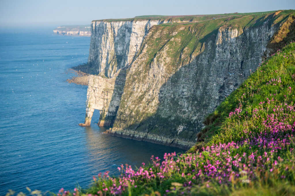 Bempton Cliffs