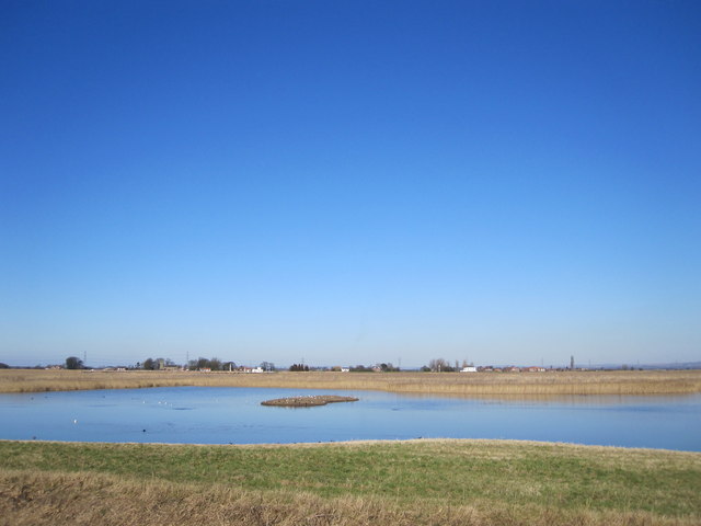 Image name blacktoft sands view from the xerox hide the 16 image from the post Walk: Blacktoft Sands RSPB Nature Reserve - Goole in Yorkshire.com.