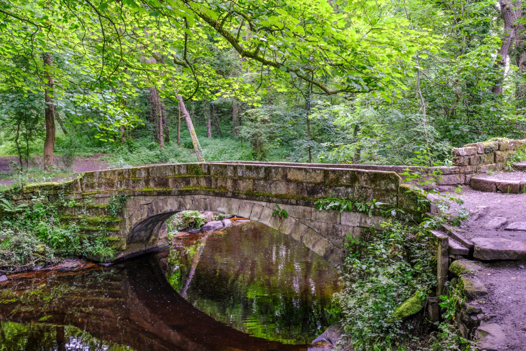 Walk: Rivelin Valley Nature Trail Post image 1 Image name footbridge over river rivelin south yorkshire the 1 image from the post Walk: Rivelin Valley Nature Trail in Yorkshire.com.