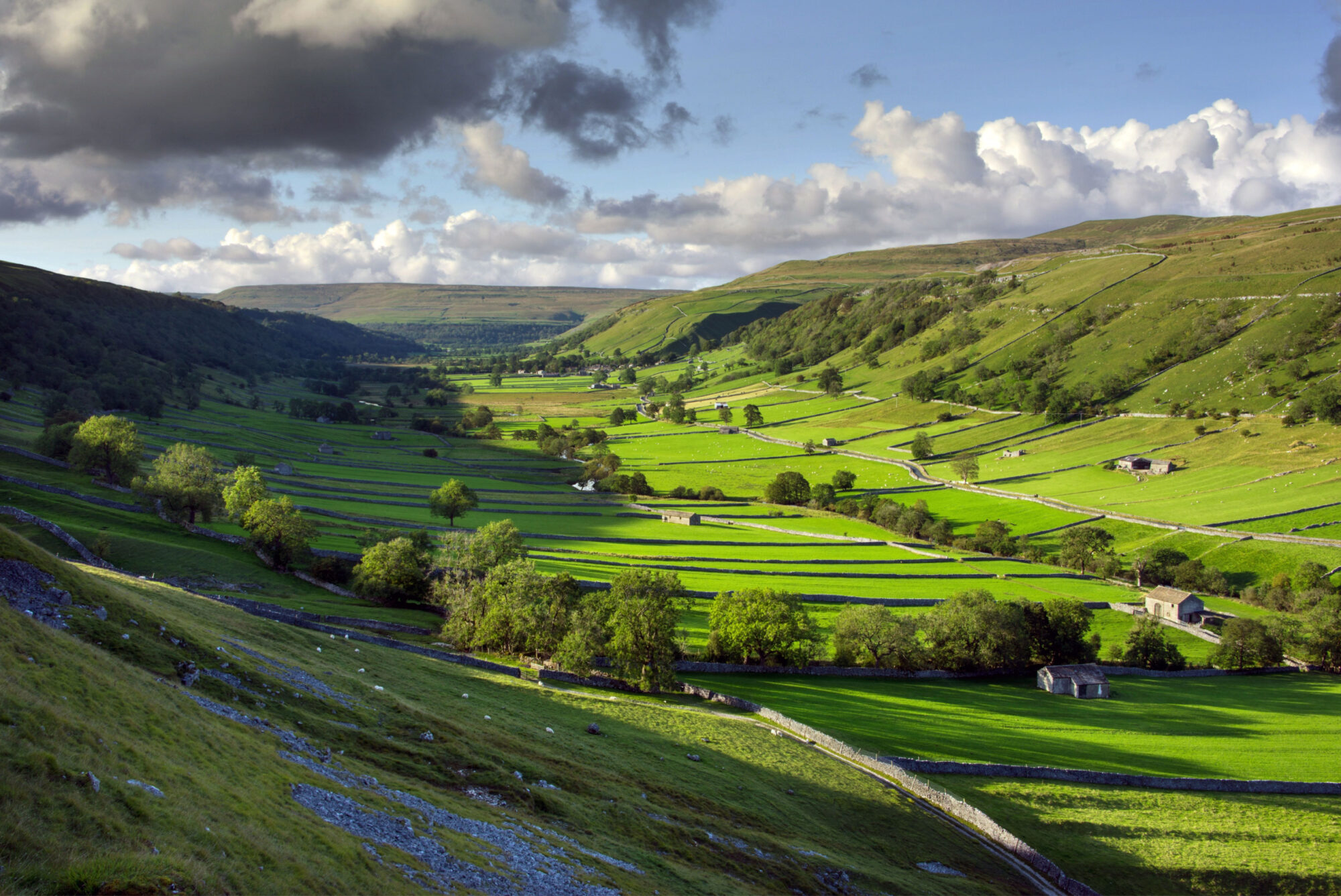 Walk: Wharfedale and Littondale Page image 2 Walk: Wharfedale and Littondale