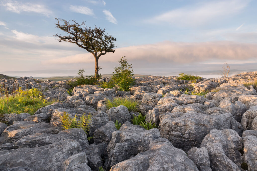 Image name limestone pavement conistone dib upper wharfedale yorkshire the 1 image from the post Walk: Kettlewell and Conistone in Yorkshire.com.
