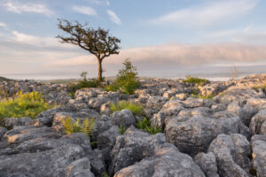 Kettlewell Page image 6 Image name limestone pavement conistone dib upper wharfedale yorkshire the 3 image from the post Kettlewell in Yorkshire.com.