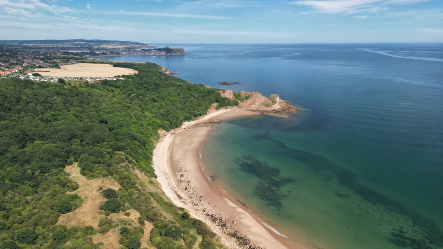 Image name cayton bay beach yorkshire the 33 image from the post Best Yorkshire beaches 2023 in Yorkshire.com.