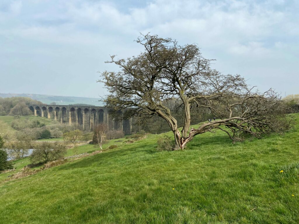 Walk: Great Northern Railway Trail Post image 1 Image name hewenden viaduct the 1 image from the post Walk: Great Northern Railway Trail in Yorkshire.com.