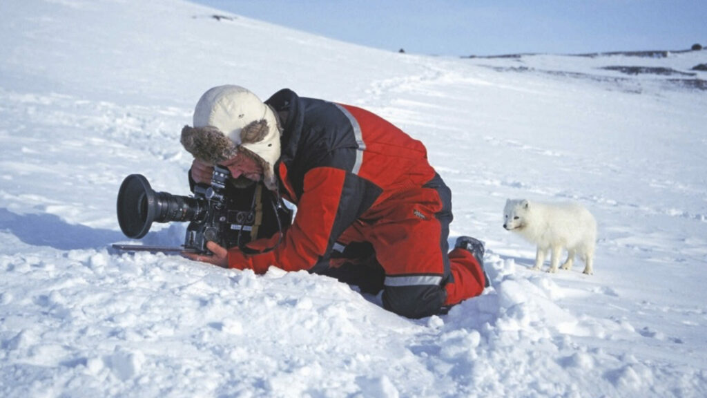 Image name Doug filming an Arctic fox the 15 image from the post Natural History Cameraman, Doug Allan, is coming to Ilkley in Yorkshire.com.