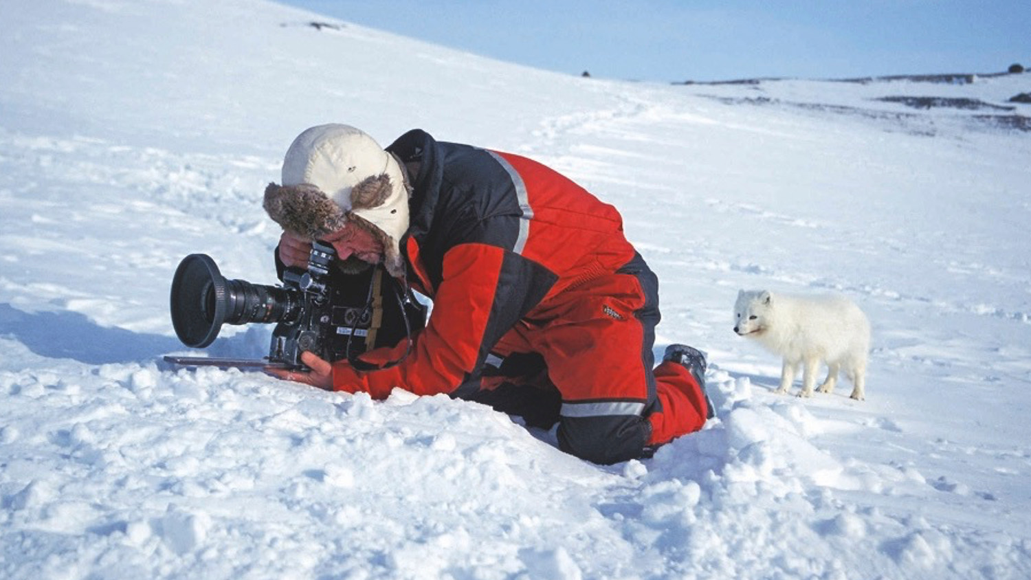 Image name Doug filming an Arctic fox yorkshire com interview the 25 image from the post Natural History Cameraman, Doug Allan, is coming to Ilkley in Yorkshire.com.