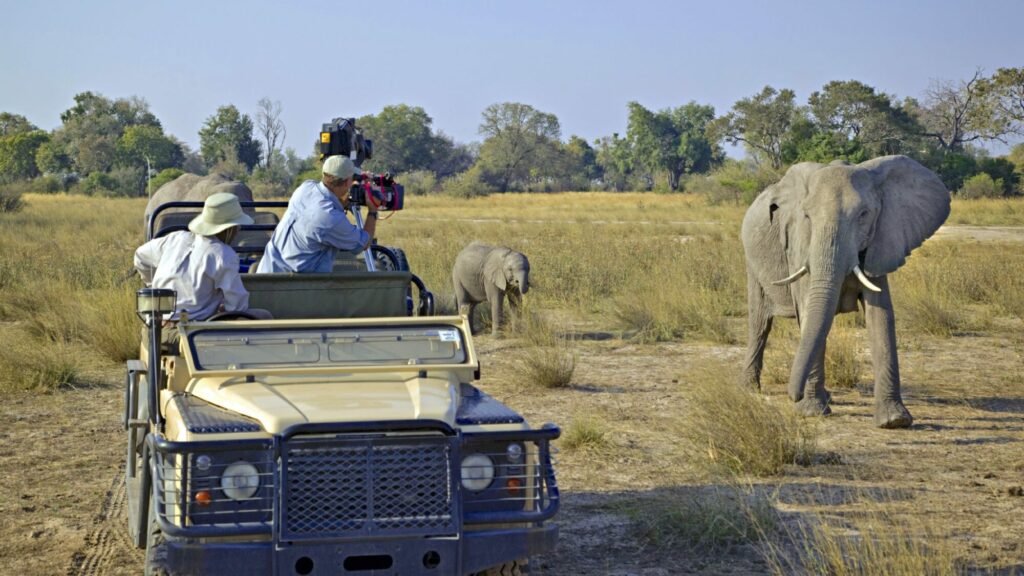 Image name Doug filming Elephants jpeg 1 the 18 image from the post Natural History Cameraman, Doug Allan, is coming to Ilkley in Yorkshire.com.