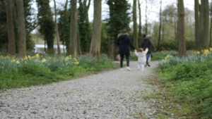 Catterick Garrison Page image 1 walks in Northallerton