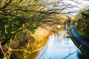 Sledmere Page image 5 Image name cottam canal near york yorkshire the 2 image from the post Sledmere in Yorkshire.com.