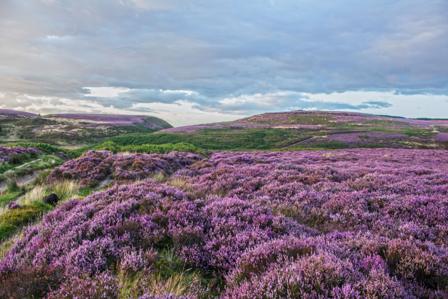 Image name osmotherly yorkshire the 5 image from the post Osmotherley in Yorkshire.com.