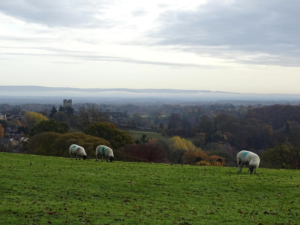 Image name richmond from near richmond racecourse north yorkshire the 10 image from the post Walk: The Whitcliffe Walk in Yorkshire.com.