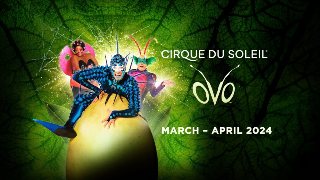 Image name Cirque Du Soleil Ovo at First Direct Arena Leeds the 4 image from the post Most popular upcoming live entertainment in Yorkshire in Yorkshire.com.