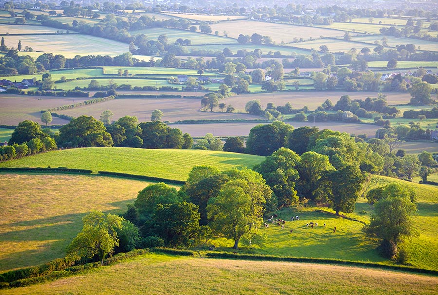 Image name Spaldington the 13 image from the post Spaldington in Yorkshire.com.