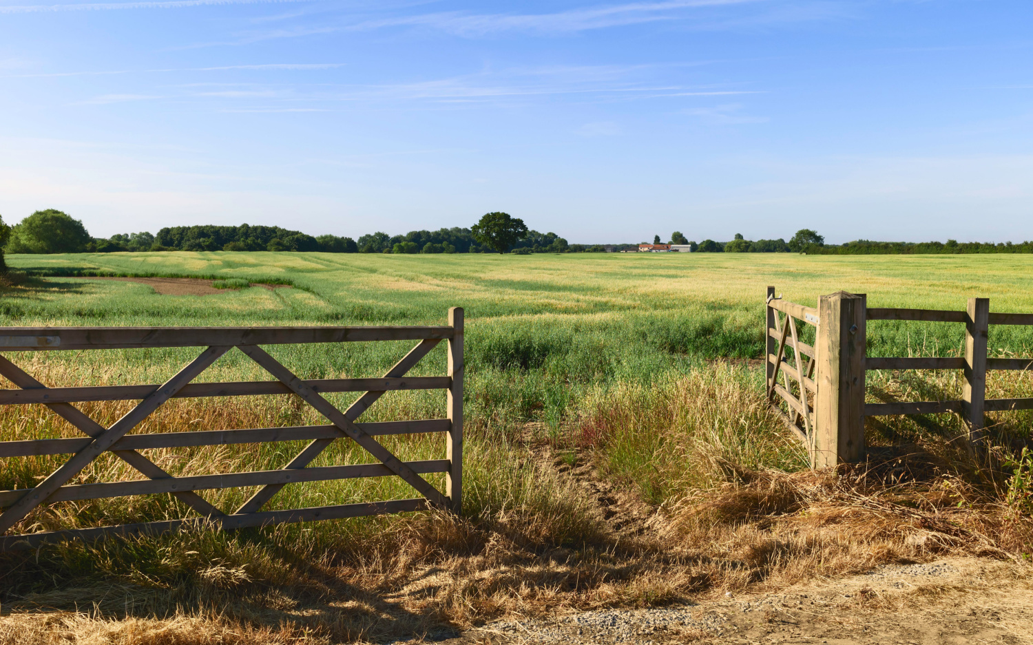 Image name countryside near beverley east yorkshire the 8 image from the post Meaux in Yorkshire.com.