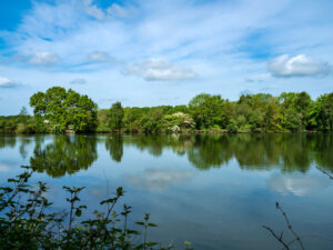 Image name eastrington ponds nature reserve east yorkshire the 13 image from the post East Yorkshire in Yorkshire.com.