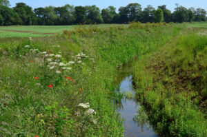 Image name field drain east yorkshire the 2 image from the post East Yorkshire in Yorkshire.com.
