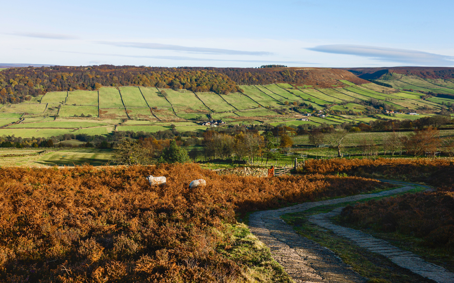 Image name fridaythorpe north york moors east yorkshire the 5 image from the post Unveiling the Secrets of Fridaythorpe: The Highest Village in the Yorkshire Wolds in Yorkshire.com.