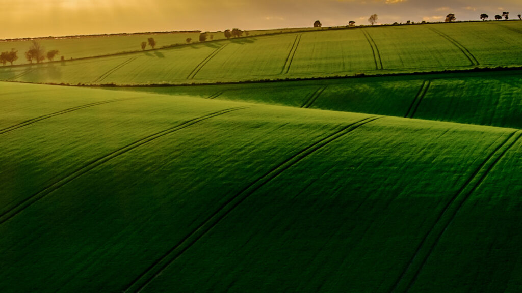 Newsletter - Friday 13th October 2023 Post image 2 Image name fridaythorpefields yorkshire wolds east yorkshire the 2 image from the post Newsletter - Friday 13th October 2023 in Yorkshire.com.