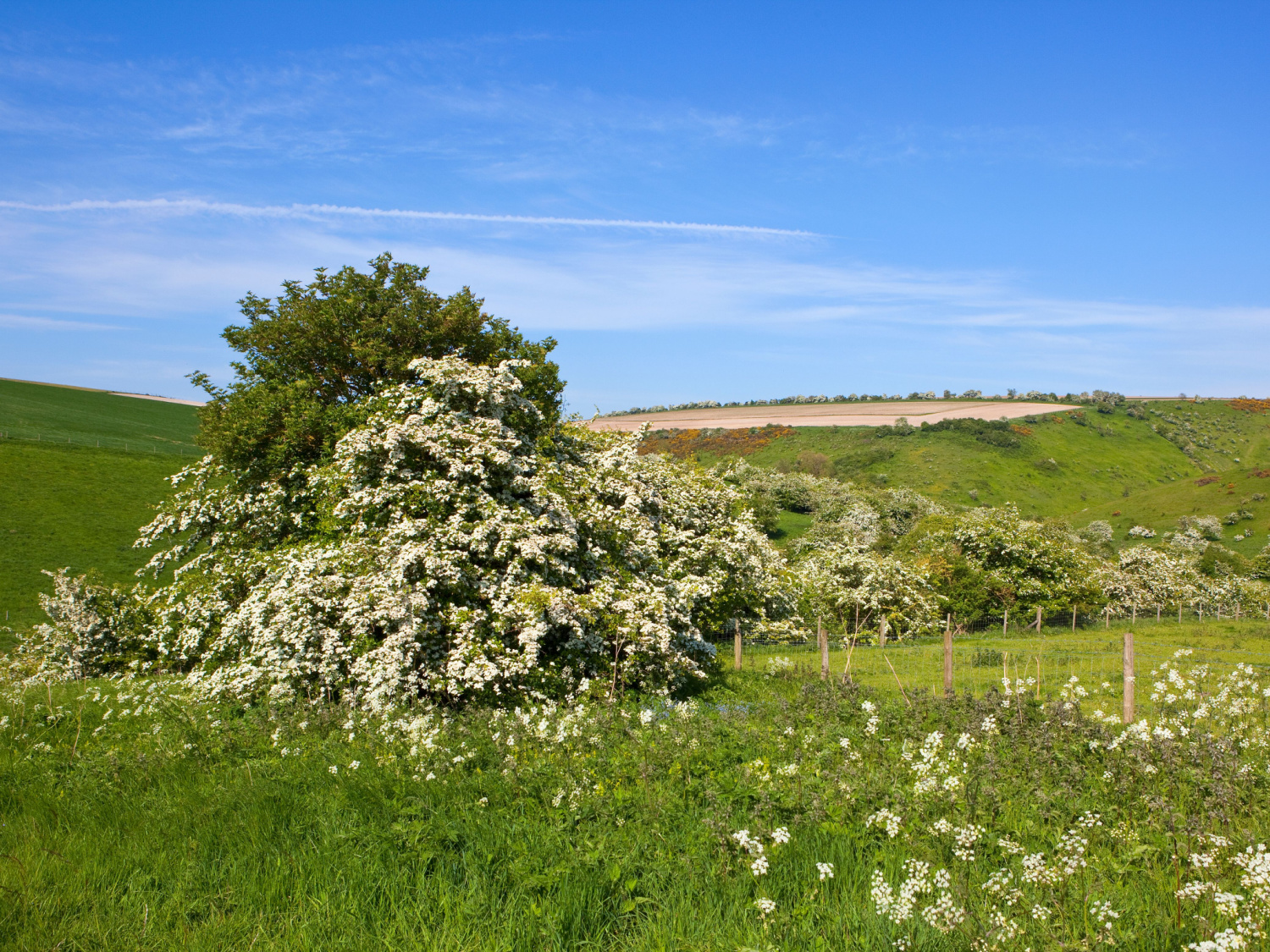 Image name millington yorkshire wolds the 15 image from the post Ousethorpe in Yorkshire.com.