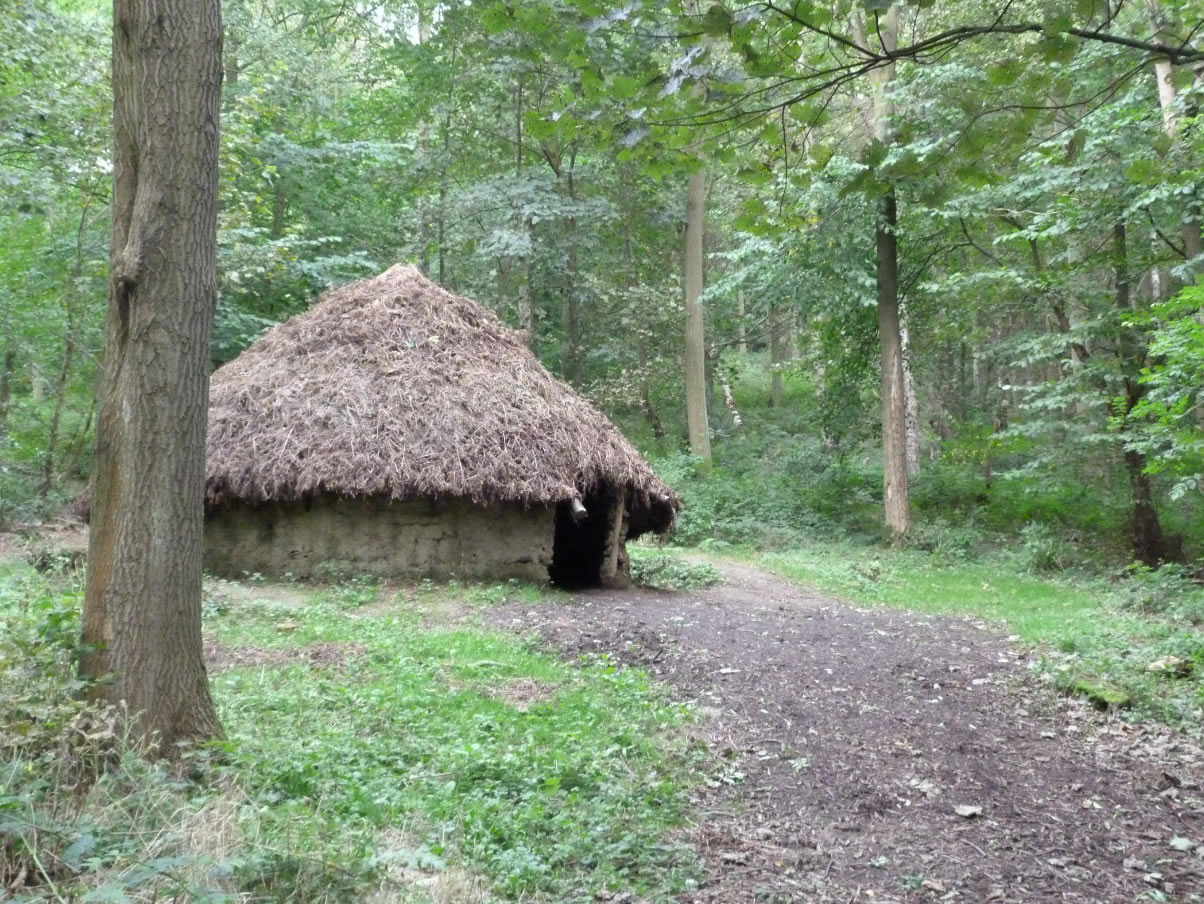 Image name shelter in raincliffe woods scarborough yorkshire the 2 image from the post Walk: Raincliffe Woods in Yorkshire.com.